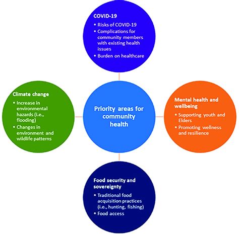 Summary Of Key Health Priorities Download Scientific Diagram