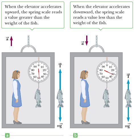 The Science Of Standing On A Scale In An Elevator