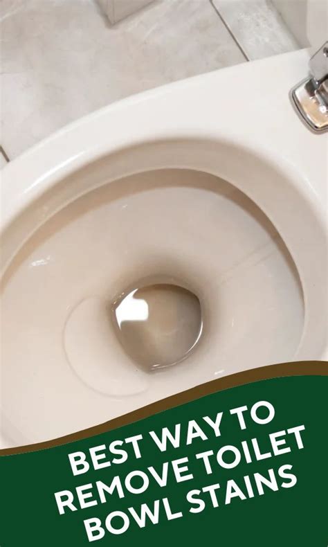 How To Clean Toilet Bowl Tough Stains With Using Coke Artofit