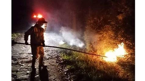 Damkar Evakuasi Sarang Tawon Di Kantor Dinas Perikanan Tulangbawang