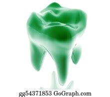 Molar Tooth Stock Illustrations Royalty Free Gograph