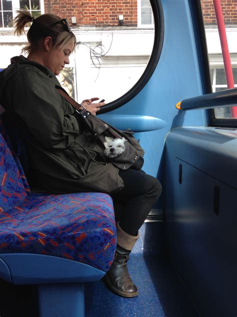 Riding an Arriva bus is now surprisingly eco-friendly for passengers 5