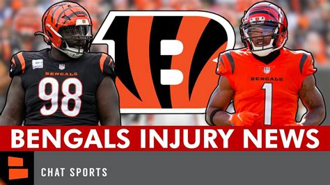 Huge Bengals Injury News On Jamarr Chase And Dj Reader After Vikings Win