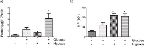 Hyperglycemichypoxic Diabetic Microenvironment Increases The Release