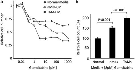 Tams Induce Resistance To Gemcitabine In Human Pdac A Doseresponse