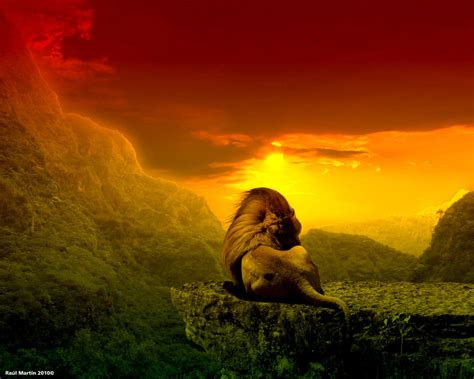 🔥 [70 ] Rasta Lion Wallpapers Wallpapersafari