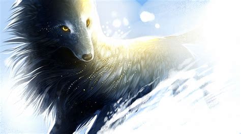 Magical Wolf Wallpapers Wallpaper Cave