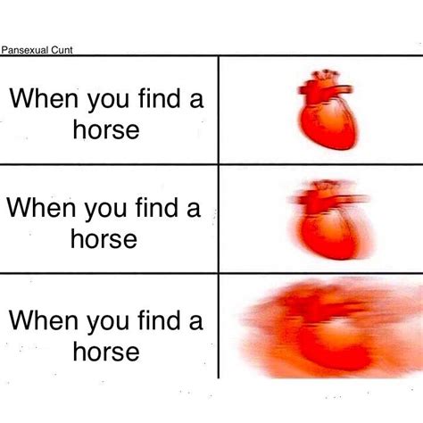 Horse : r/dankmemes