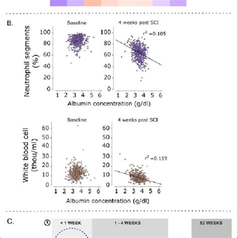 Relationship Between Serum Albumin Concentration And Inflammation