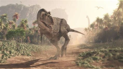 Dinosaurios descubren porqué los T rex tenían brazos tan cortos