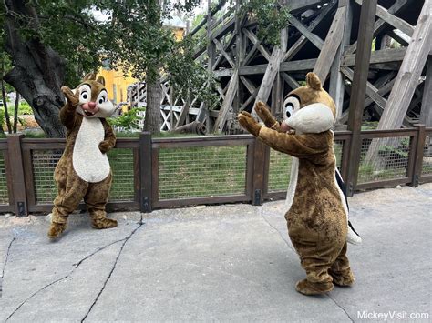 20 Secret Disneyland Quiet Spots Many Regulars Dont Even Know