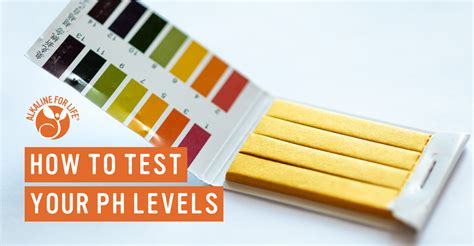 How to Test Your pH Levels – Alkaline for Life