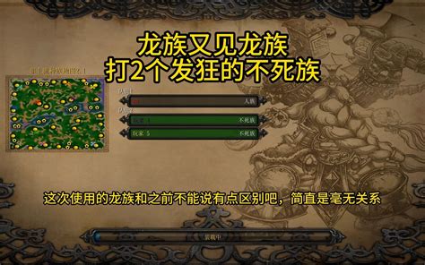 魔兽争霸3龙族又见龙族打2个发狂的不死族，这才叫龙族吧 Champion 陈 Champion 陈 哔哩哔哩视频