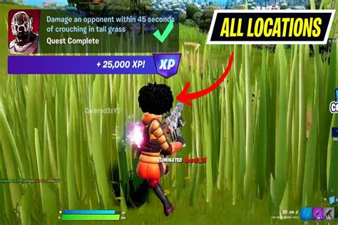 A Quick Guide To Find Top Tall Grass Locations In Fortnite