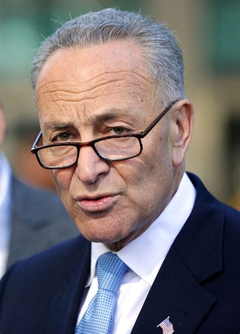 Charles E Schumer To Urge Democrats To ‘embrace Government The New York Times