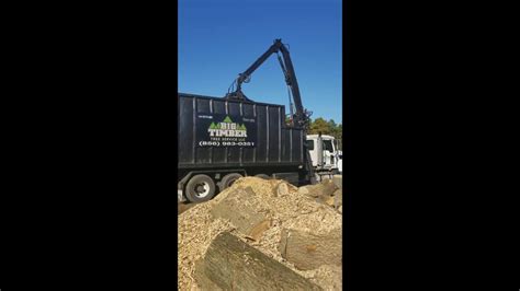 Big Timber Tree Service Llc Dumpster Service Youtube