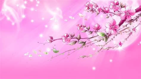 Pink Wallpapers Hd Pixelstalknet