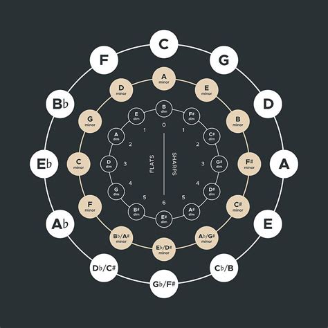 Music Theory Digital Art Circle Of Fifths Music Theory By Penny And