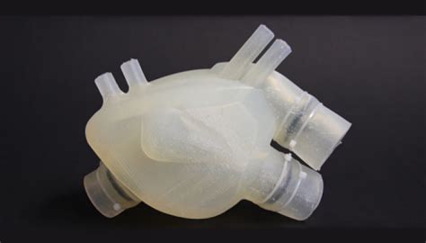 Researchers Create 3d Printed Silicone Artificial Heart Massdevice