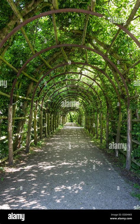 Germany Mecklenburg Vorpommern Schwerin Pergola In Castle Garden