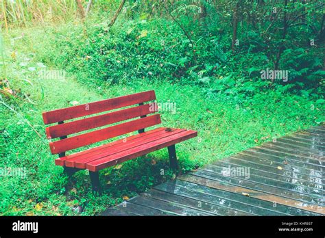 Wooden park bench with Planter in rainy Stock Photo - Alamy