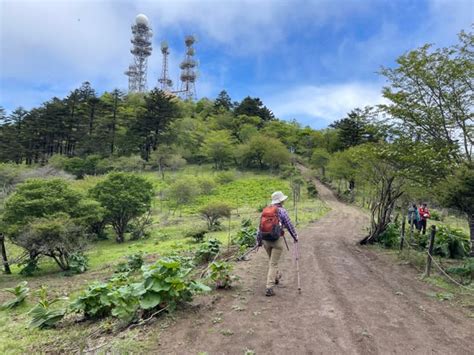 富士山麓（二日目）三ッ峠山他…カモメラン、キクイタダキなど… 夫婦で山歩き