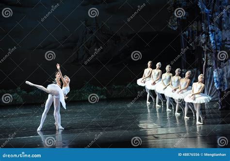 The Prince And The Swan Of The Lingering Ballet Swan Lake Editorial Photo Image Of Background