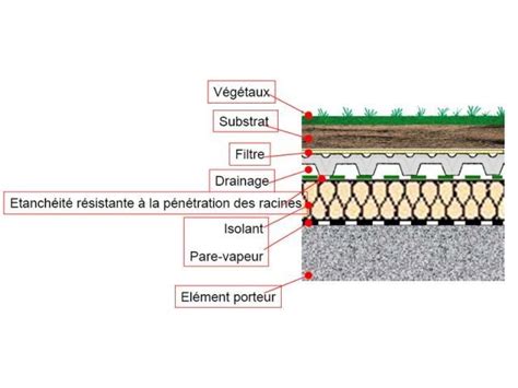 La Toiture Vegetalisee Pousse De Plus En Plus Dans Le Paysage Urbain