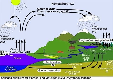 A Diagram Of A Water Cycle