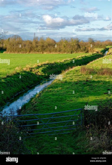 Somerset Levels And Moors Hi Res Stock Photography And Images Alamy