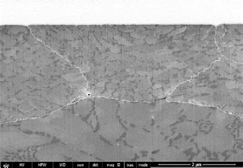 Section Transverse De Grains D Alliage AlSi12 Issus De La Poudre