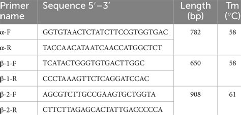 Primer Sequences For Pcr Experiments Download Scientific Diagram