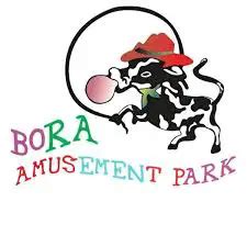 Bora Amusement Park Vacancy Announcement Typical Ethiopian