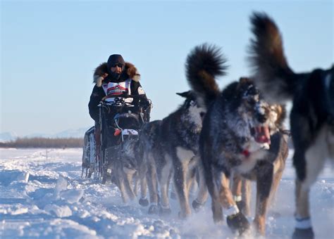 Eye on the Trail – Iditarod Mushers Run Mid-Distance Races – Iditarod