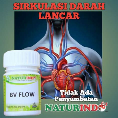 Jual Obat Herbal Penyumbatan Pembuluh Darah Pelancar Sirkulasi Darah