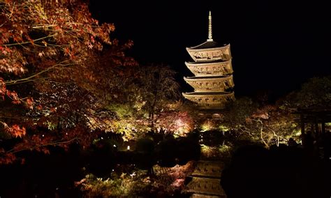 Toji | Toji temple at night, Kyoto, Japan. | D DeRidder | Flickr