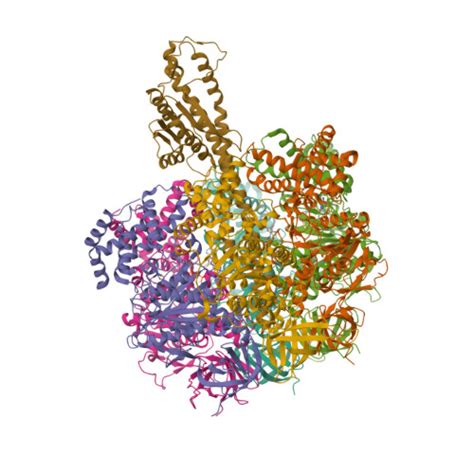 Rcsb Pdb 8hh2 F1 Domain Of Fof1 Atpase From Bacillus Ps3post Hyd