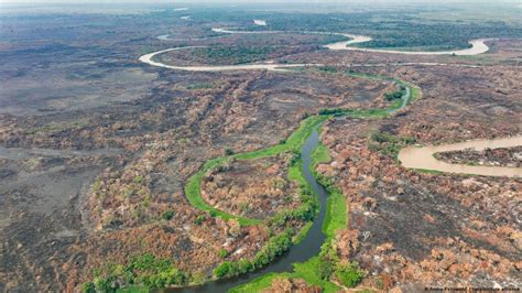 Pantanal volta a sofrer incêndios devastadores Trópico em Movimento