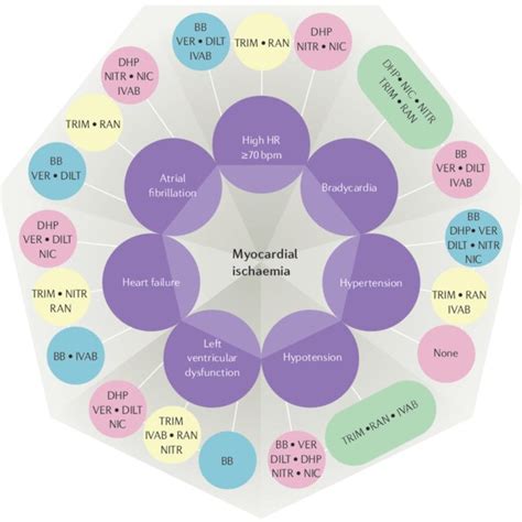 Possible Combinations Of Classes Of Antianginal Drugs According To