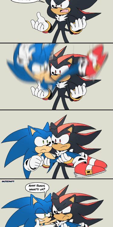 Nice Catch By RisziArts Sonic And Shadow Sonic Funny Shadow The