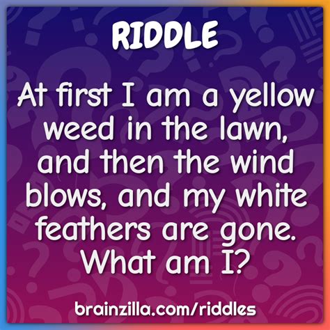 At First I Am A Yellow Weed In The Lawn And Then The Wind Blows And Riddle And Answer