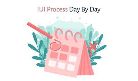 What Happens After Iui Day By Day Step By Step Iui Process