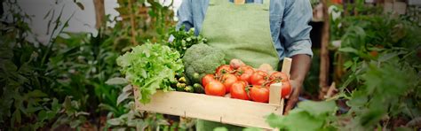 Adequação à Produção Orgânica Polo Sebrae Agro