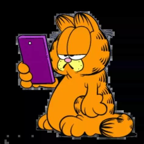 The Garfield Cat Is Looking At His Cell Phone While Holding It Up To