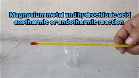 Magnesium Metal And Hydrochloric Acid Reactions Exothermic Or Endothermic Youtube