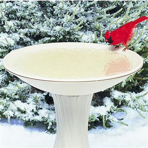 Best Heated Bird Baths For Winter In Canada Canadians Best