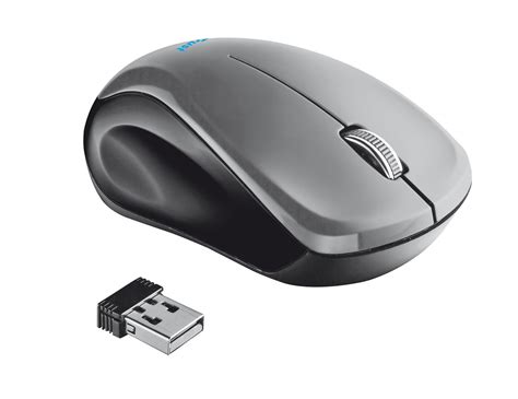 Trust Mui Souris Sans Fil pour PC et PC Portable: Amazon.fr: Informatique