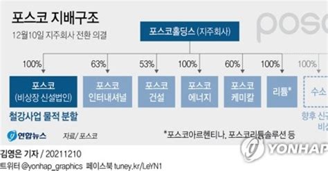 그래픽 포스코 지배구조