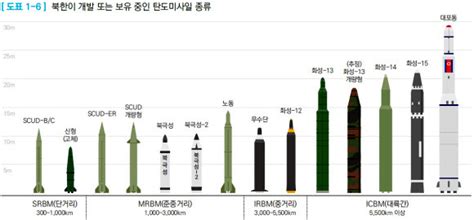 国防白書「北朝鮮版イスカンデル」短距離弾道ミサイルに分類 政治•社会 ハンギョレ新聞