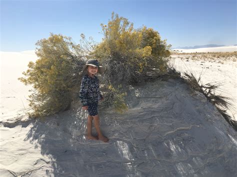 White Sands National Monument And Oliver Lee State Park Wacky Wanderers